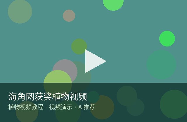 黑料