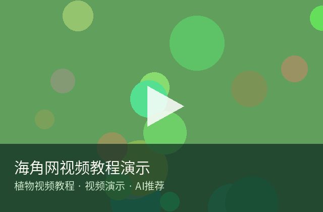 黑料