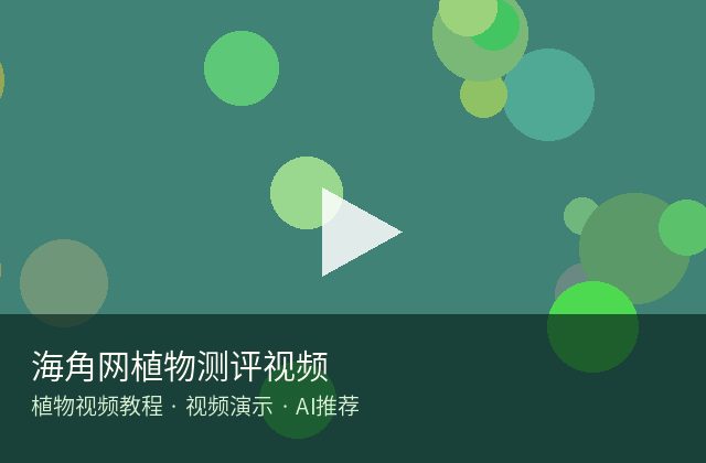 黑料