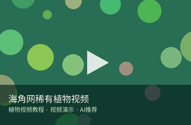 黑料